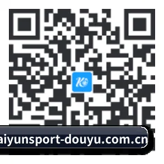 iPhone 专版 二维码